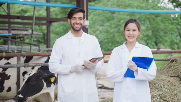 Portrait of young man and woman veterinary working outdoors in cowshed.