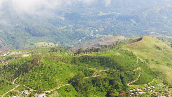 Mountains Tea Plantations Timelapse