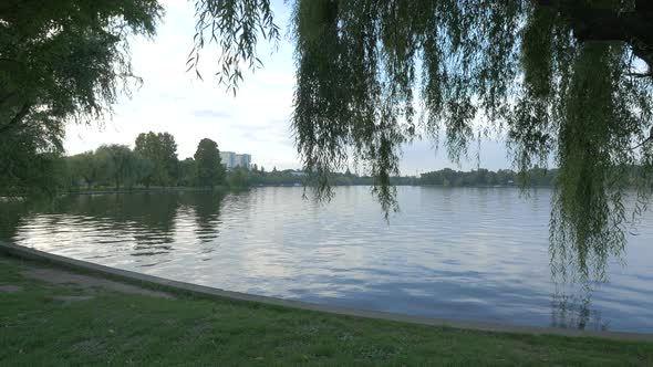 Herastrau lake shore in the evening