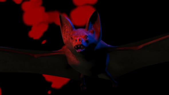 Screaming bat