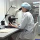 Young Researcher Using Microscope - VideoHive Item for Sale