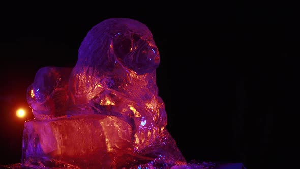 Colorful Lighting Around an Ice Sculpture of a Lion Studio