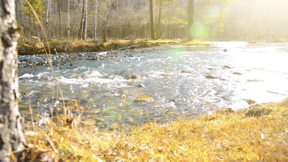 Dolly Slider Shot of the Splashing Water in a Mountain River Near Forest