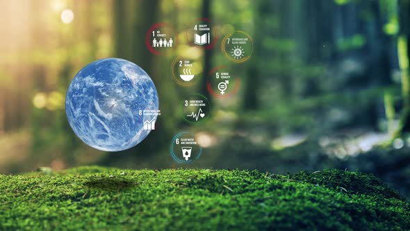 17 Global Goals Concept Photo Realistic Earth Design In Moss Forrest Background