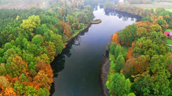 River and yellow autumn forest, aerial view, Poland