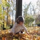 Little Girl Throw Up Yellowed Leaves in a Park, Slow Motion - VideoHive Item for Sale