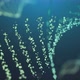 DNA Genetic modification chromosome graphic connect together macro superzoom - VideoHive Item for Sale