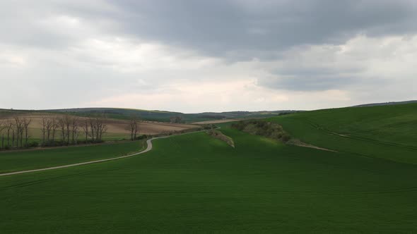 Aerial drone footage road and field. Tuscany