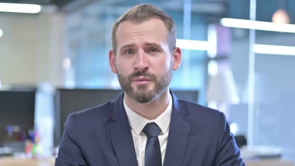 Portrait of Young Businessman Waving and Talking in Office