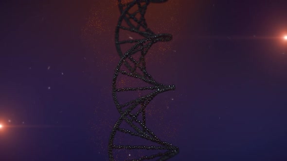 Black DNA Background Loop
