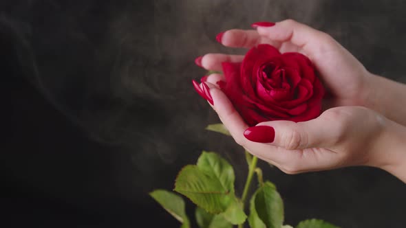 Crop Woman with Red Nails and Rose Flower