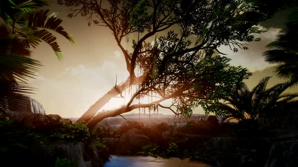 Sunset Beams Through Palm Trees alt