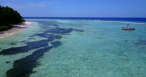 Wide angle drone clean view of a paradise sunny white sand beach and aqua blue ocean background in v