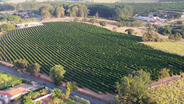 Countryside scenery aerial view. Rural landscape.