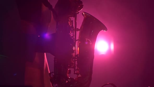 Young Sexy, Blonde Woman Dj in White Jacket and Black Top Playing Music Using Saxophone, Flipping