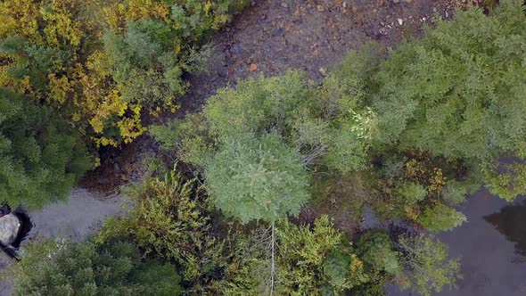 Aerial view looking down at small river in forest