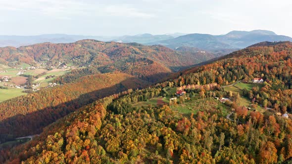 Aerial Top View Over Alpine Forest Durring Sunset in Autumn