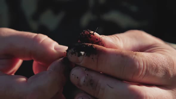 The Fisherman Fixes the Earthworm on a Fishing Hook