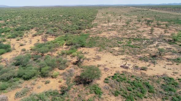 Aerial View Of Bush Clearing - Northern Namibia