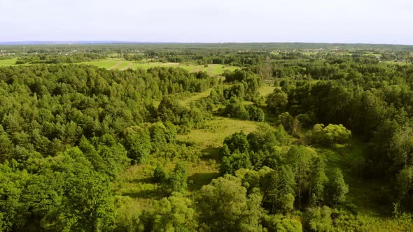 Meadows and Forests in the light of the setting Sun.