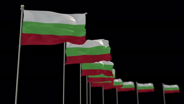 Bulgaria  Row Of Flags Animation Include Alpha Channel alt