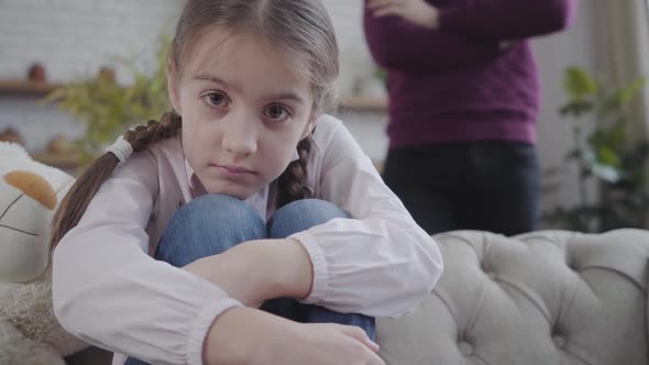 Close-up of Pretty Caucasian Girl with Brown Eyes Hugging Knees and Looking at Camera