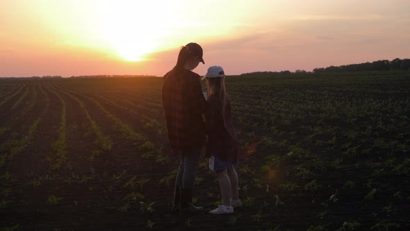 Young Mother Farmer Teaches Her Daughter To Work in a Wheat Field. Silhouette of a Farmers Family in