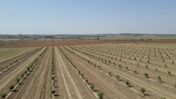 Sdot Negev Fields At Israeli Southern Settlements