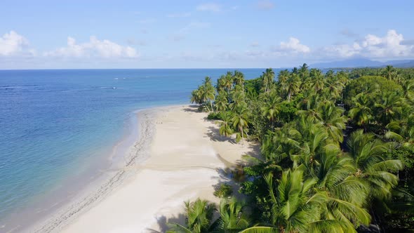 Idyllic tropical white sand beach with palm trees, Caribbean coast