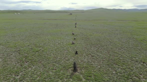 Statue Menhirs in the Central Asian Steppes