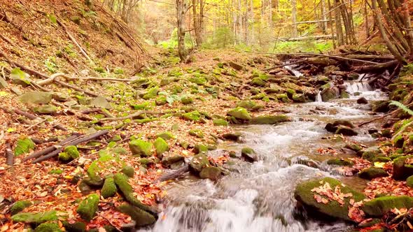 Footage of Wonderful Mountain Stream in the Shypit Karpat National Park