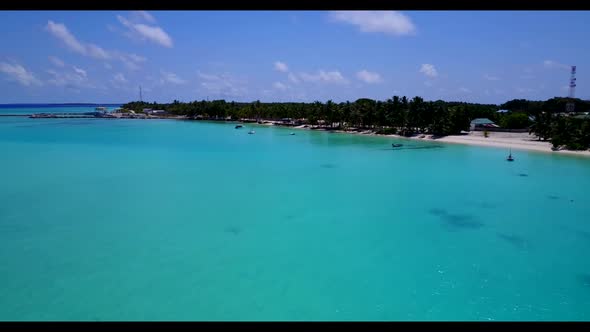 Aerial drone shot seascape of relaxing shore beach wildlife by clear water with white sand backgroun