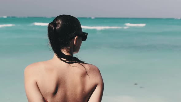 Young Woman in Sunglasses and Red Bikini Sitting and Looking at Ocean Rear View