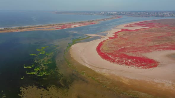 An Aerial View of Car Tracks in the Sand Along the Lake