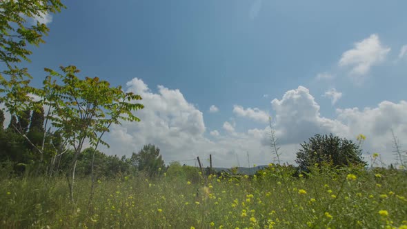 Time Lapse of clouds over green rural landscape with trees and green hills