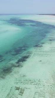 Tanzania  Vertical Video of the Ocean Near the Coast of Zanzibar Slow Motion