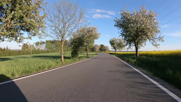 car drive in spring countryside road