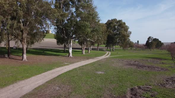 Drone flying low in green field park on beautiful summer sunny day with orange trees, Seville Spain