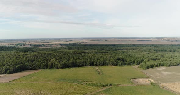 Aerial View of Agricultural Fields and Forest