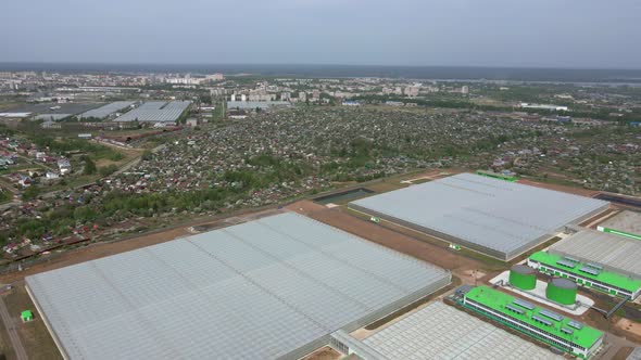 Aerial View of Huge Areas of Greenhouses for Growing Vegetables