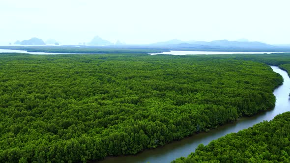 Beautiful View of Phang Nga Bay, aerial view mangrove forest in river and mountain of Phang Nga Bay