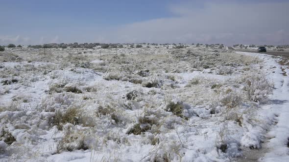 Snow over the plants