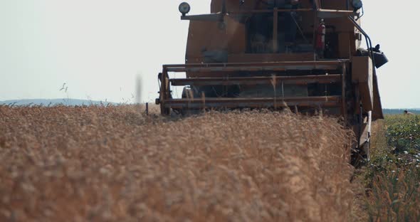 Combine Harvester Mower Mechanism Cuts Wheat Spikelets