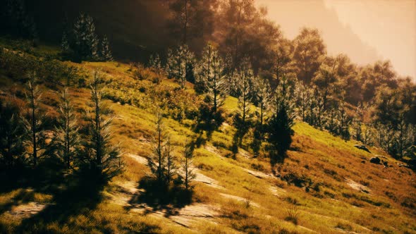 Autumn Morning with Fog in Mountains