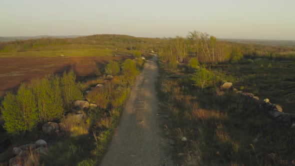 Old country lane with lush green vegetation aerial sunset