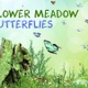 Meadow and Butterflies - VideoHive Item for Sale