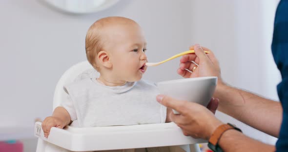 Young Baby in White High Baby Chair and Father's Hands with a Spoon and Bowl While He is Feeding the