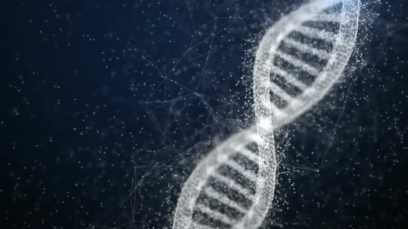 Plexus DNA