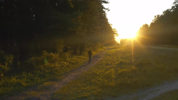 A man is running in a pine forest Jogging at sunset Sunrise Pinery Russia Siberia Kansk town