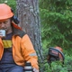 Lumberjack Resting And Drinking Tea In The Forest - VideoHive Item for Sale